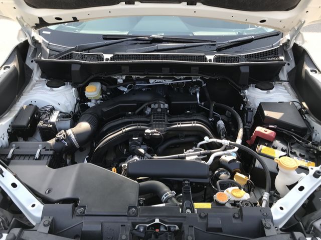 SUBARU FORESTER 2019 Image 31