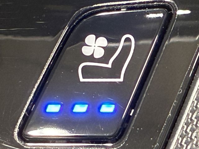 PORSCHE 911 OPEN 2020 Image 31