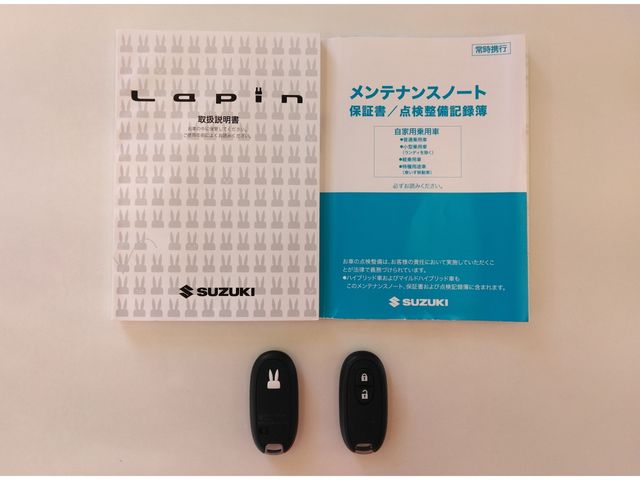 SUZUKI ALTO LAPIN 2021 Image 31