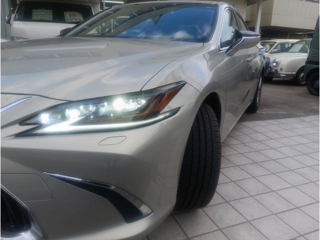 TOYOTA LEXUS ES300H 2021 Image 31