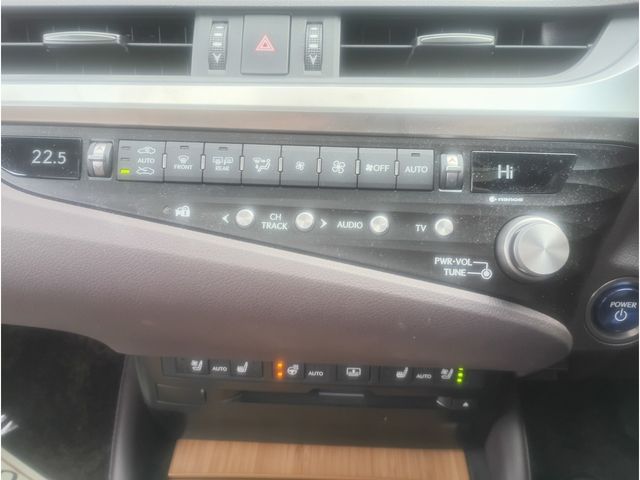 TOYOTA LEXUS ES300H 2021 Image 31