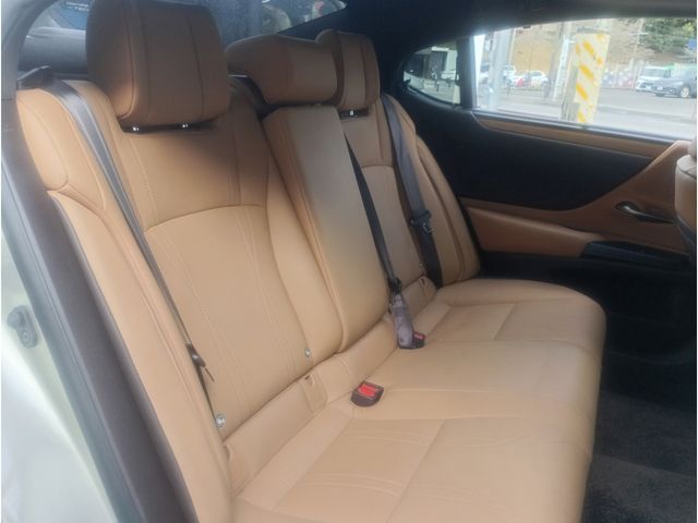 TOYOTA LEXUS ES300H 2021 Image 31