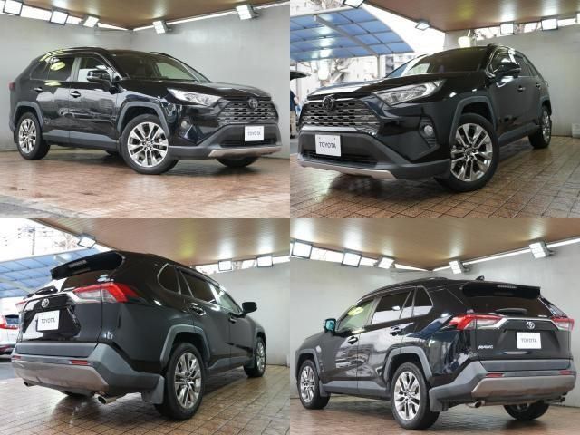 TOYOTA RAV4 4WD 2019 Image 31