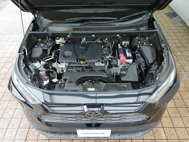 TOYOTA RAV4 4WD 2019 Image 31