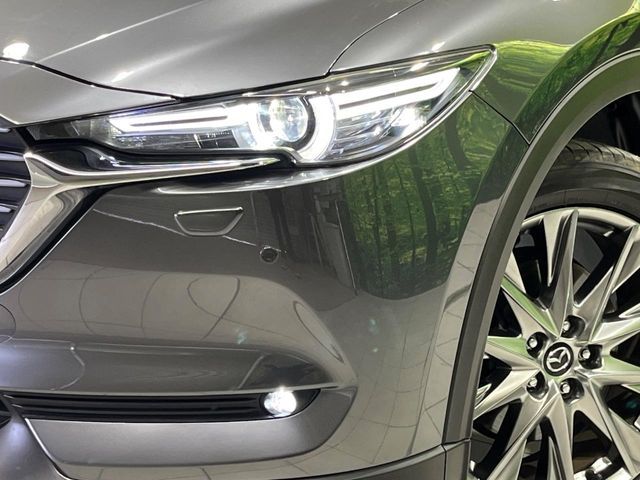 MAZDA CX-8 2019 Image 31