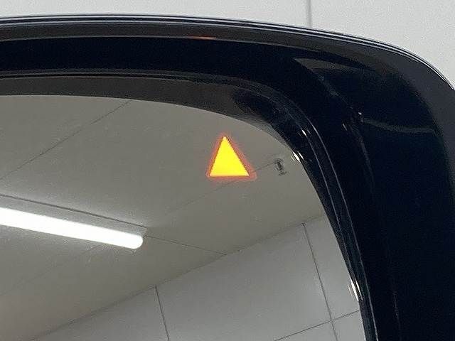 NISSAN ELGRAND 2020 Image 31