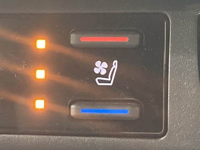 TOYOTA RAV4 PHV 2023 Image 31