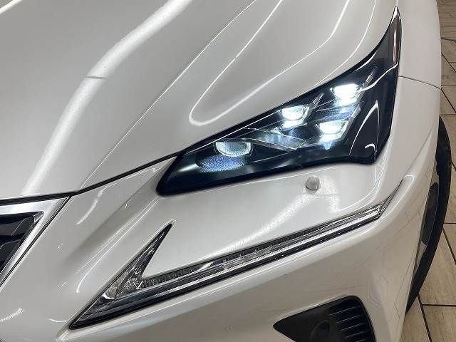 TOYOTA LEXUS NX300H 2018 Image 31