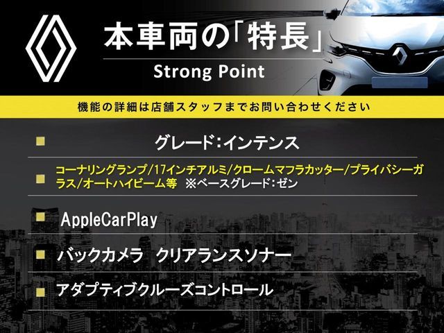 RENAULT LUTECIA 2022 Image 31