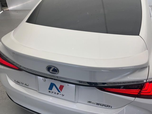 TOYOTA LEXUS ES300H 2019 Image 31