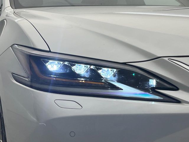 TOYOTA LEXUS ES300H 2019 Image 31