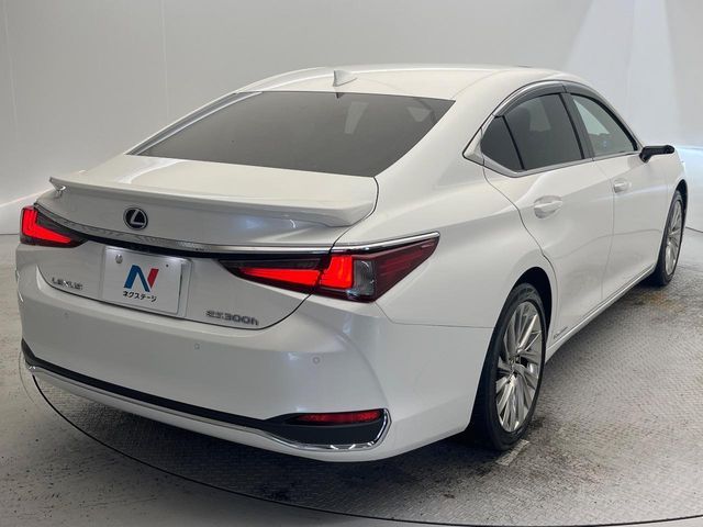 TOYOTA LEXUS ES300H 2019 Image 31