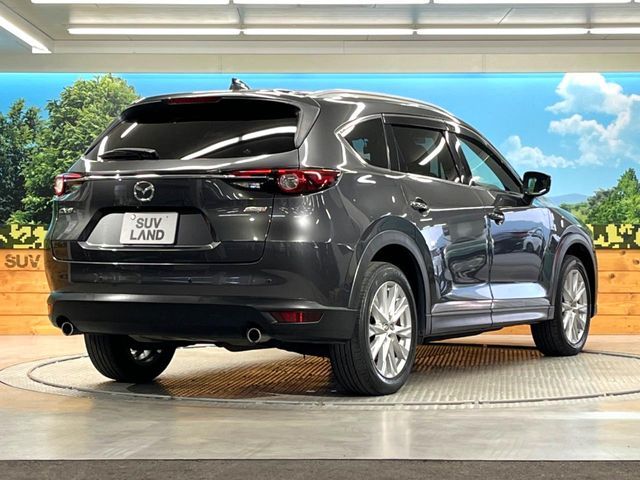 MAZDA CX-8 2018 Image 31