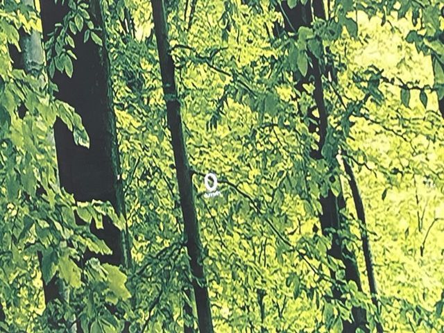 MAZDA CX-30 2022 Image 31