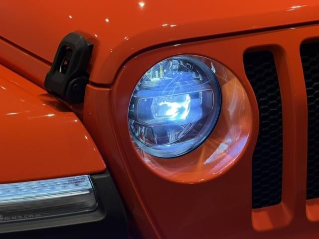 JEEP WRANGLER UNLIMI 2020 Image 31