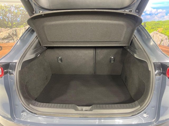 MAZDA CX-30 2020 Image 31