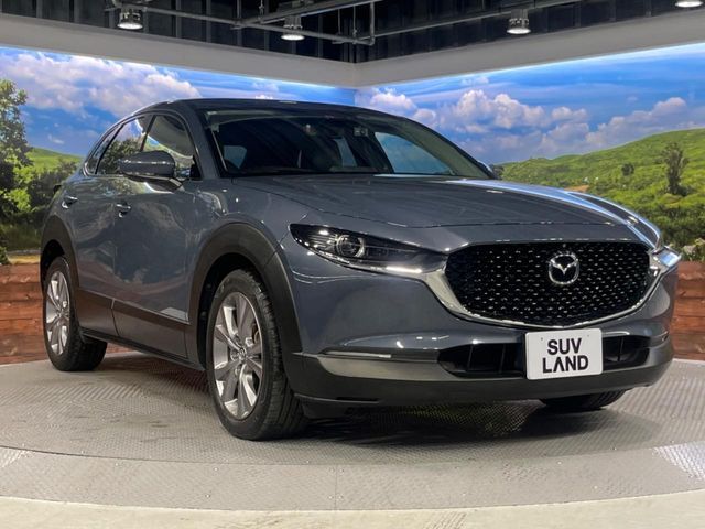 MAZDA CX-30 2020 Image 31