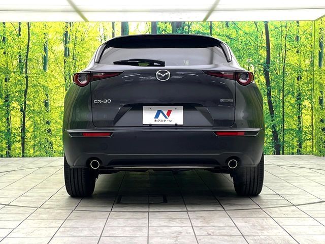 MAZDA CX-30 2023 Image 31