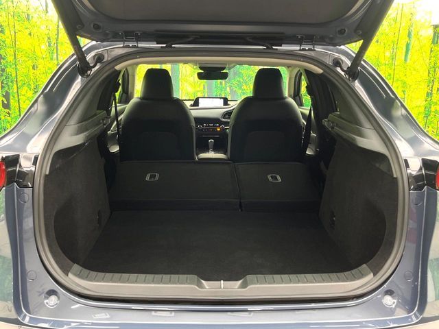 MAZDA CX-30 2021 Image 31