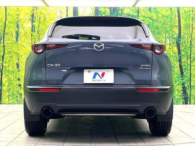 MAZDA CX-30 2021 Image 31