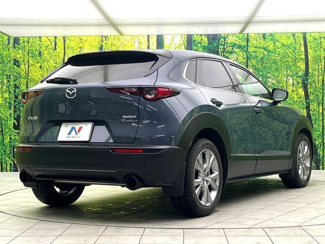 MAZDA CX-30 2021 Image 31