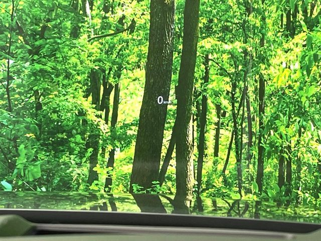 MAZDA CX-8 2018 Image 31