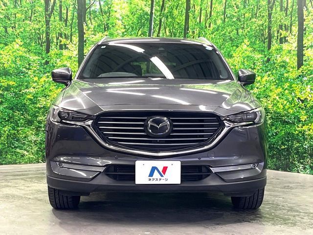 MAZDA CX-8 2018 Image 31