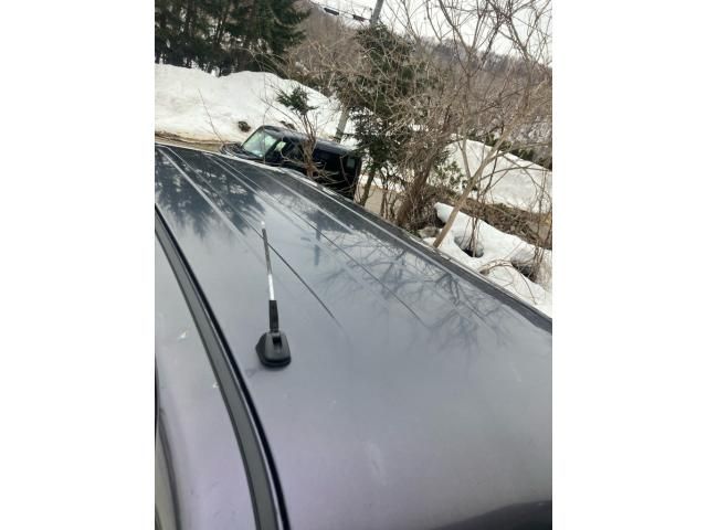 NISSAN DAYZ ROOX 2014 Image 31