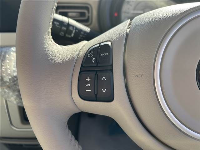 SUZUKI ALTO LAPIN 2025 Image 31