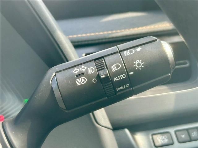 TOYOTA LEXUS UX250H 2023 Image 31