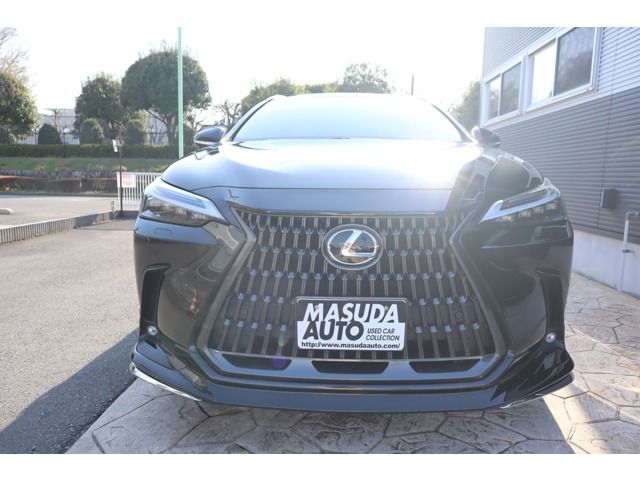 TOYOTA LEXUS NX450H+ AWD 2023 Image 31