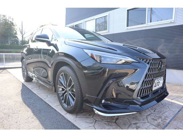 TOYOTA LEXUS NX450H+ AWD 2023 Image 31