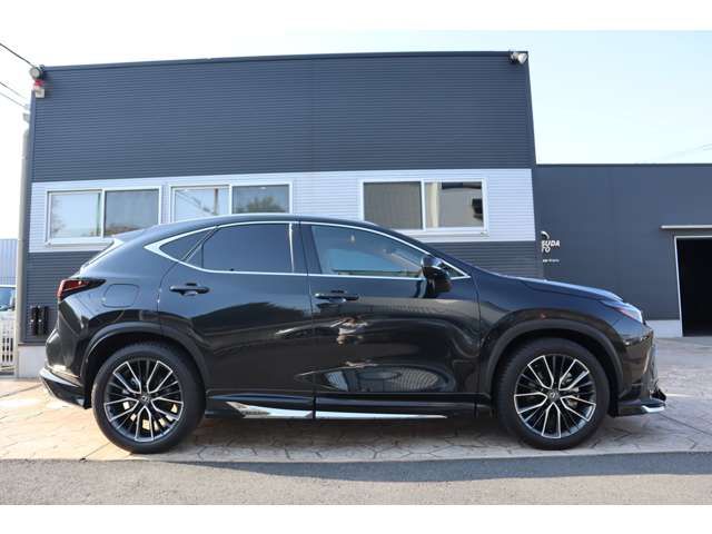 TOYOTA LEXUS NX450H+ AWD 2023 Image 31