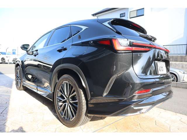 TOYOTA LEXUS NX450H+ AWD 2023 Image 31