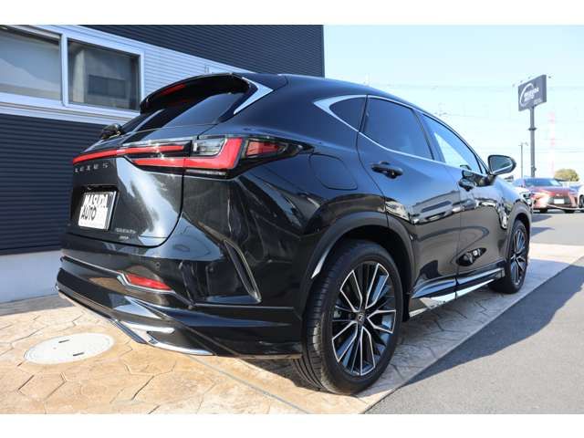 TOYOTA LEXUS NX450H+ AWD 2023 Image 31