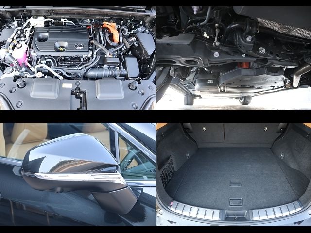 TOYOTA LEXUS NX450H+ AWD 2023 Image 31