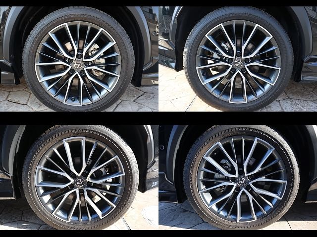 TOYOTA LEXUS NX450H+ AWD 2023 Image 31