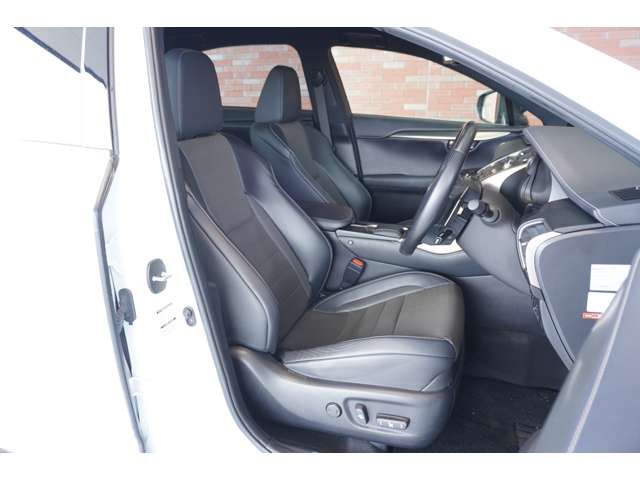 TOYOTA LEXUS NX300H 2019 Image 31