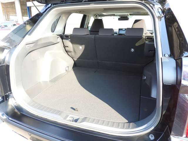 MITSUOKA BUDDY 2024 Image 31