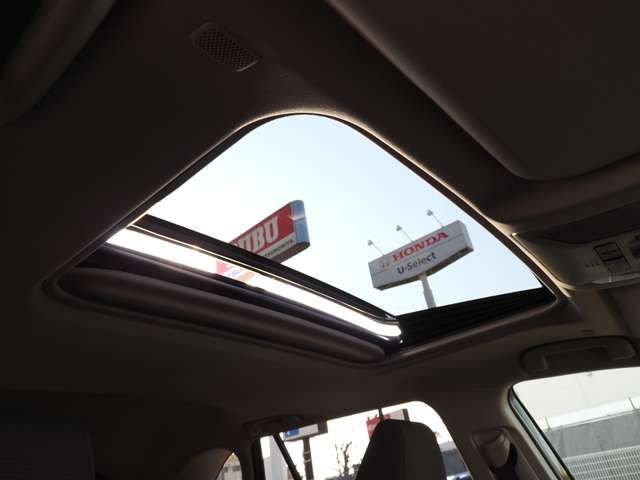 MITSUOKA BUDDY 2024 Image 31