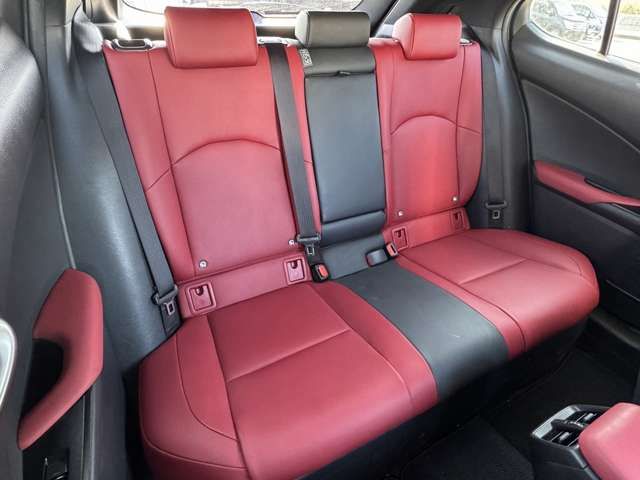 TOYOTA LEXUS UX250H 2019 Image 31