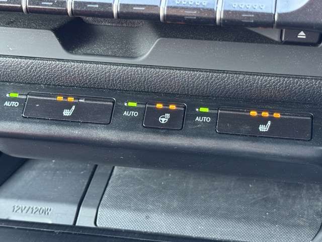 TOYOTA LEXUS UX250H 2019 Image 31