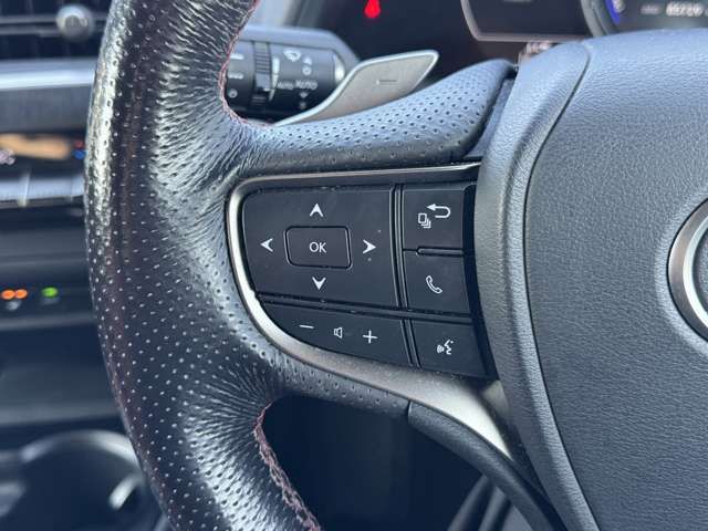 TOYOTA LEXUS UX250H 2019 Image 31