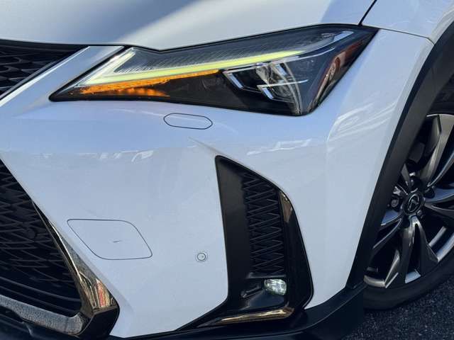 TOYOTA LEXUS UX250H 2019 Image 31