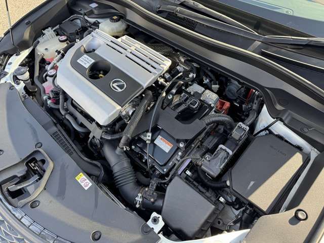 TOYOTA LEXUS UX250H 2019 Image 31