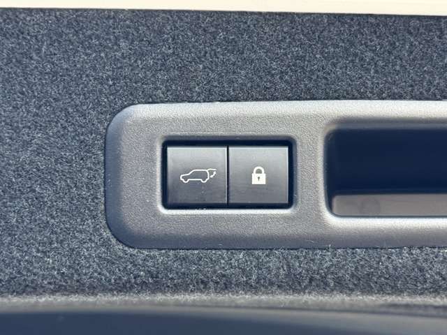 TOYOTA LEXUS RX450H 2WD 2021 Image 31