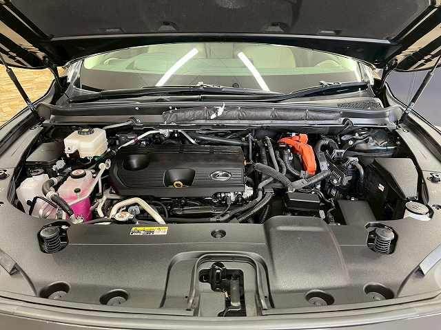 TOYOTA LEXUS RX450H+ 2023 Image 31