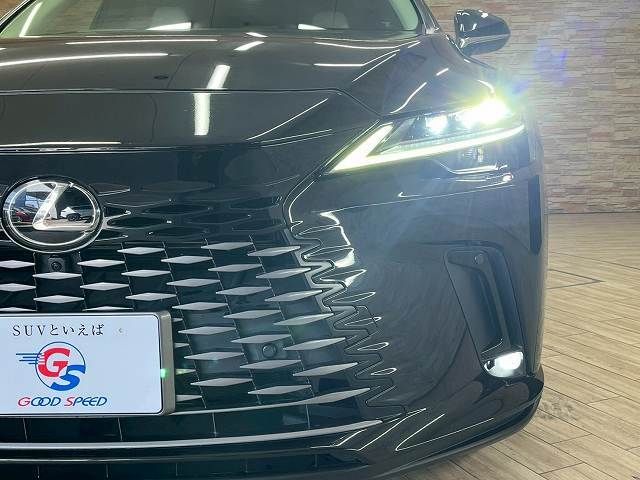 TOYOTA LEXUS RX450H+ 2023 Image 31