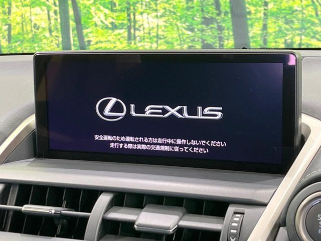 TOYOTA LEXUS NX300 2018 Image 31