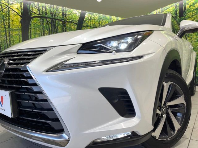 TOYOTA LEXUS NX300 2018 Image 31